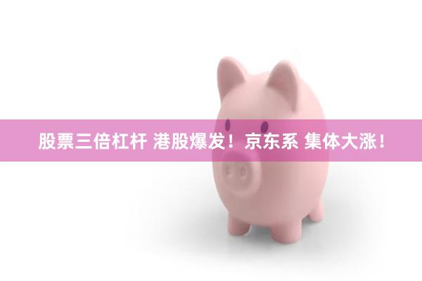 股票三倍杠杆 港股爆发！京东系 集体大涨！