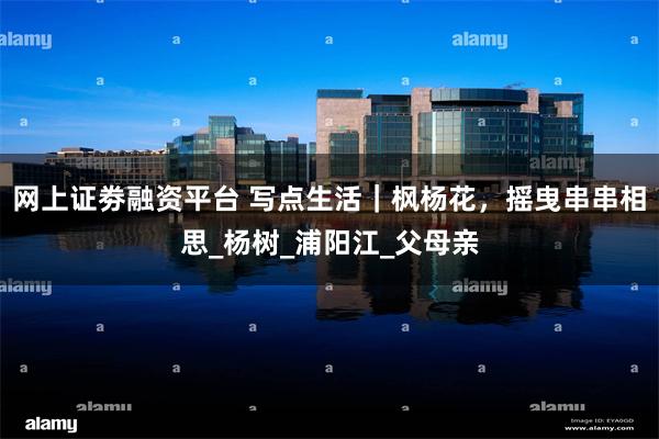 网上证劵融资平台 写点生活｜枫杨花，摇曳串串相思_杨树_浦阳江_父母亲