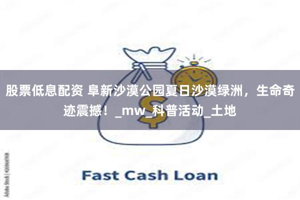 股票低息配资 阜新沙漠公园夏日沙漠绿洲，生命奇迹震撼！_mw_科普活动_土地