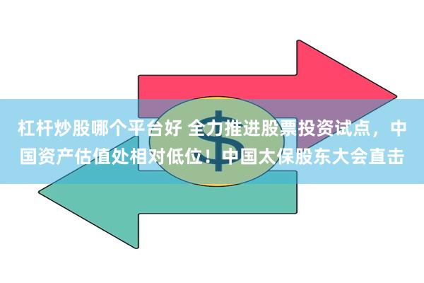 杠杆炒股哪个平台好 全力推进股票投资试点，中国资产估值处相对低位！中国太保股东大会直击